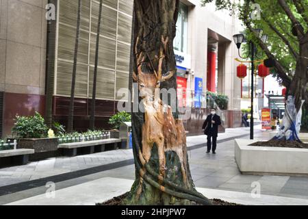 Chongqing, Chongqing, Cina. 22nd Feb 2022. Il 22 febbraio 2022, lo ''zoo'' sull'albero sulla strada pedonale Jiefangbei a Chongqing.recentemente, nel quartiere Jiefangbei di Yuzhong, Chongqing, dove si raccolgono i punti di check-in popolari, uno ''zoo'' su un albero ha iniziato ad attirare l'attenzione. Il reporter ha visto sulla strada di Minzu, strada pedonale di Jiefangbei, che nel mezzo del viale diritto sono due file di ginepro giallo denso alberi. Più di una dozzina di animali, tra cui il ''fulmine'' in ''Zootopia'' e il ''Timan''' meerkat in ''il Re Leone''. I dipinti sono realistici e. Foto Stock