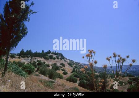 Arroccato paese di fine estate vicino Dhora (Dora), Cipro, con un cardo prominente in primo piano Foto Stock