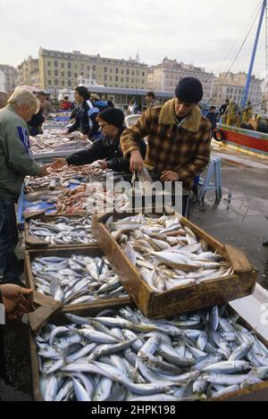 PECHE EN MER MEDITERRANEE CHALUTIER PORTO DI MARSIGLIA Foto Stock