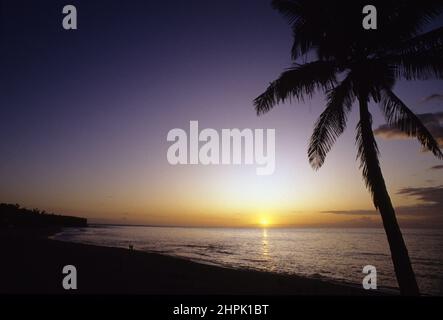 Plage de Boucan Canot france la riunione del tramonto sull'oceano indiano sulla spiaggia con il turisme delle palme Foto Stock