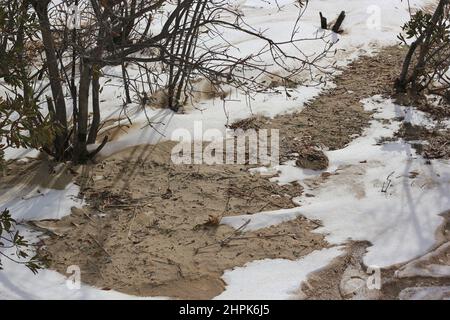 Interessanti modelli naturali e formazioni che si trovano nelle dune di sabbia e canne in una fredda giornata invernale. Foto Stock