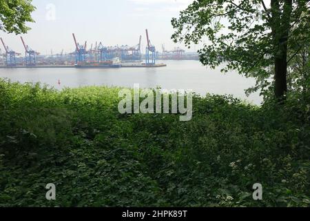 Enormi autogru e container portuali di Amburgo blu e rosso visti dalla riva opposta del fiume Elba, Othmarschen, Amburgo, Germania Foto Stock