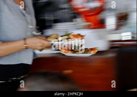 Formentera, Spagna, cibo, Tiburon Beach Club, Playa Lletas Foto Stock