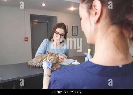 Giovane donna animale domestico proprietario firma documenti per le prescrizioni in clinica veterinaria. Cat sul banco Foto Stock