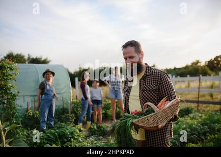 Uomo maturo felice che trasporta la cassa con le verdure homegrown all'azienda agricola della Comunità. Foto Stock