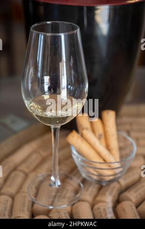 Industria del vino dell'isola di Cipro, degustazione di vino bianco secco su vecchia cantina situata sulle pendici sud della catena montuosa di Troodos. Foto Stock