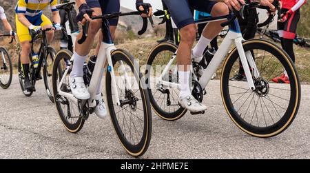 Gruppo di ciclisti professionisti maschi durante una gara internazionale sulle strade di montagna. Foto Stock