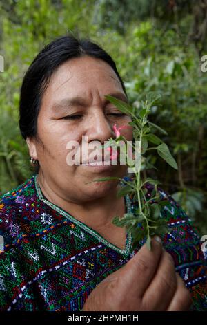 Donne del gruppo di AMIDI a Pachay Guatemala in giardino per cure naturali e verdure. Foto Stock