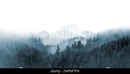 Verde foresta di montagna nella nebbia. Alberi di abete rosso e pino Evergreen sulle pendici. Pittura di natura. Foto Stock