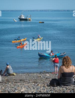 La gente sulla spiaggia che guarda i canoers appena fuori dalla spiaggia a Martins Haven, Pembrokeshire, Galles, Regno Unito Foto Stock