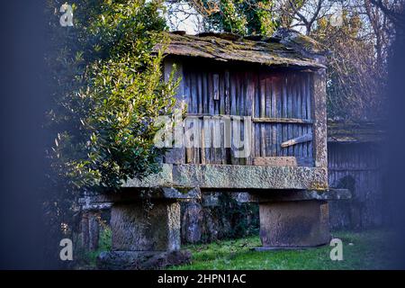 Vecchio granaio di pietra e legno chiamato horreo, utilizzato nella regione galiziana di Irixo per immagazzinare cereali, mele o castagne Foto Stock