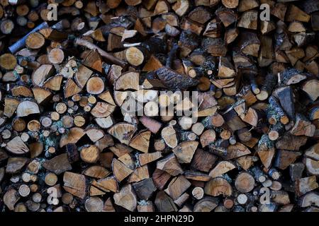 Legno impilato che forma un muro in cui le forme dei tronchi possono essere viste Foto Stock