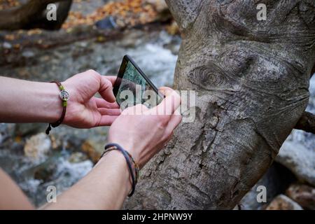 Primo piano di mani maschili scattando una foto di un tronco d'albero nella foresta con un telefono cellulare Foto Stock