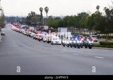 La Habra, California, Stati Uniti. 22nd Feb 2022. 22nd febbraio 2022, la Habra, California, USA: Gli ufficiali del motociclo guidano la processione funeraria dell'ufficiale caduto Nicholas Vella dall'ufficio del coronatore della contea di Orange al servizio funebre della Comunità a la Habra, CA. Vella, un veterano di 14 anni del Dipartimento di polizia di Huntington Beach, morì sabato quando il suo elicottero si schiantò nel porto di Newport. (Credit Image: © Ron Lyon/ZUMA Press Wire) Foto Stock