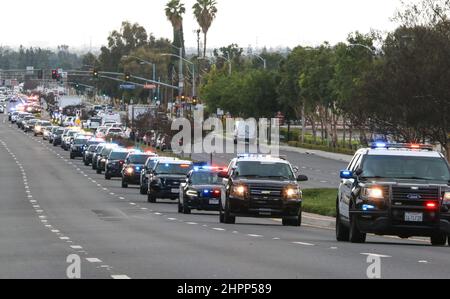 La Habra, California, Stati Uniti. 22nd Feb 2022. 22nd febbraio 2022, la Habra, California, USA: Gli ufficiali del motociclo guidano la processione funeraria dell'ufficiale caduto Nicholas Vella dall'ufficio del coronatore della contea di Orange al servizio funebre della Comunità a la Habra, CA. Vella, un veterano di 14 anni del Dipartimento di polizia di Huntington Beach, morì sabato quando il suo elicottero si schiantò nel porto di Newport. (Credit Image: © Ron Lyon/ZUMA Press Wire) Foto Stock