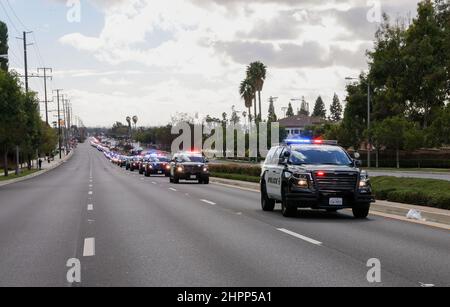 La Habra, California, Stati Uniti. 22nd Feb 2022. 22nd febbraio 2022, la Habra, California, USA: Gli ufficiali del motociclo guidano la processione funeraria dell'ufficiale caduto Nicholas Vella dall'ufficio del coronatore della contea di Orange al servizio funebre della Comunità a la Habra, CA. Vella, un veterano di 14 anni del Dipartimento di polizia di Huntington Beach, morì sabato quando il suo elicottero si schiantò nel porto di Newport. (Credit Image: © Ron Lyon/ZUMA Press Wire) Foto Stock