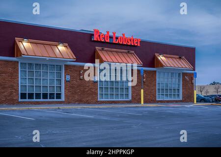 New Hartford, New York - 16 febbraio 2022: Vista laterale del Red Lobster Restaurant. Il Red Lobster Hospitality LLC è un ristorante americano informale Foto Stock