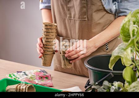 Le mani delle donne tengono le pentole della torba per le piante. Processo di preparazione delle piantine preposte per la nuova stagione. Persona irriconoscibile. Concetto di giardinaggio domestico. Foto Stock