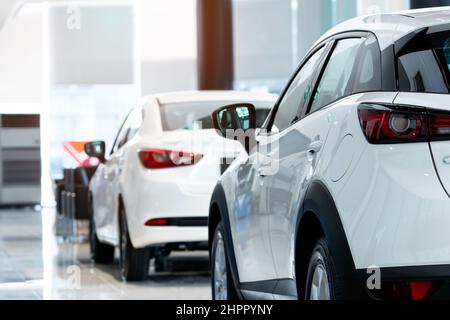 Auto con vista posteriore parcheggiata nello showroom di lusso. Ufficio concessionaria auto. Auto nuova parcheggiata in un moderno showroom. Auto in vendita e noleggio business concept. Automobile l Foto Stock