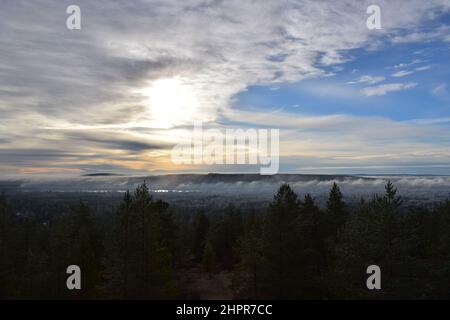 Foresta della Lapponia al tramonto. Panorama. Cielo autunnale con sole e nuvole. Nebbia pesante tra gli alberi. Rovaniemi. Lapponia. Finlandia. Foto Stock