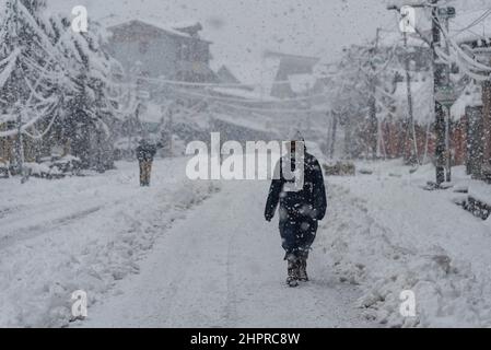Kashmir, India , 23/02/2022, Srinagar, India. 23rd Feb 2022. Un uomo cammina attraverso una strada coperta di neve durante la nevicata pesante in Srinagar.The Kashmir valle il Mercoledì mattina svegliato-up ad una coperta pesante di nevicate che ha interrotto la vita normale della gente. Le operazioni di volo, il trasporto di superficie e le attività di routine della vita si sono arrestate. Credit: SOPA Images Limited/Alamy Live News Foto Stock