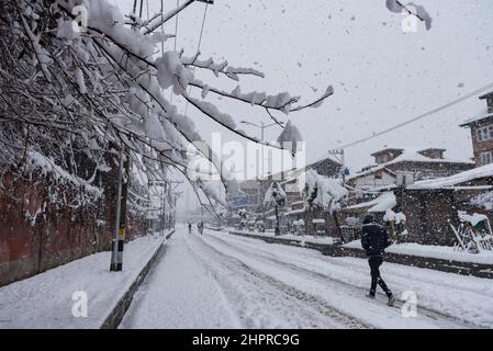 Kashmir, India , 23/02/2022, Srinagar, India. 23rd Feb 2022. Un uomo cammina attraverso una strada coperta di neve durante la nevicata pesante in Srinagar.The Kashmir valle il Mercoledì mattina svegliato-up ad una coperta pesante di nevicate che ha interrotto la vita normale della gente. Le operazioni di volo, il trasporto di superficie e le attività di routine della vita si sono arrestate. Credit: SOPA Images Limited/Alamy Live News Foto Stock