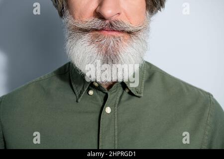 Vista ritagliata ritratto di attraente contenuto curato uomo grigio-capelli bush barba isolata su sfondo grigio color pastello Foto Stock