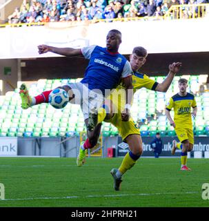Christy Manzinga - Linfield Vs Dungannon Swifts in the Danske Bank Premiership, sabato 30th ottobre 2021 a Windsor Park, Belfast. Foto Stock