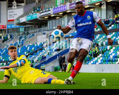 Christy Manzinga - Linfield Vs Dungannon Swifts in the Danske Bank Premiership, sabato 30th ottobre 2021 a Windsor Park, Belfast. Foto Stock