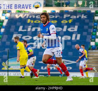 Matt Green - Linfield Vs Dungannon Swifts in the Danske Bank Premiership, sabato 30th ottobre 2021 a Windsor Park, Belfast. Foto Stock