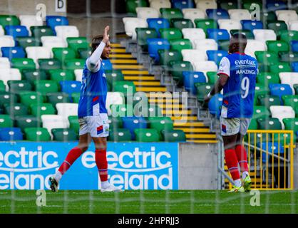 Matt Green - Linfield Vs Dungannon Swifts in the Danske Bank Premiership, sabato 30th ottobre 2021 a Windsor Park, Belfast. Foto Stock