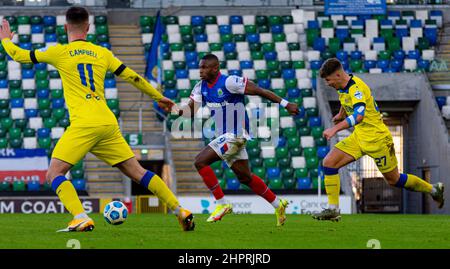 Christy Manzinga - Linfield Vs Dungannon Swifts in the Danske Bank Premiership, sabato 30th ottobre 2021 a Windsor Park, Belfast. Foto Stock