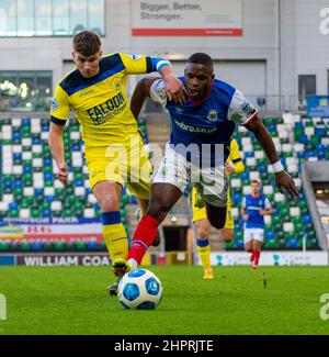 Christy Manzinga - Linfield Vs Dungannon Swifts in the Danske Bank Premiership, sabato 30th ottobre 2021 a Windsor Park, Belfast. Foto Stock