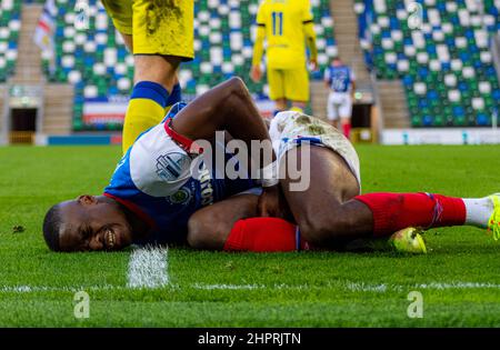 Christy Manzinga - Linfield Vs Dungannon Swifts in the Danske Bank Premiership, sabato 30th ottobre 2021 a Windsor Park, Belfast. Foto Stock