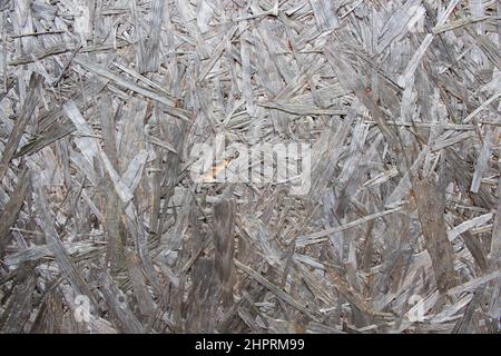 Struttura di OSB. Pannello in legno strutturale impermeabile e versatile che resiste a deflessione, delaminazione e deformazione. Foto Stock