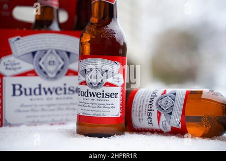 Marinette,WI,USA -DEC1-2021: Un venditore all'aperto vende birra Budweiser refrigerata su un tavolo con molta neve. Bottiglie di birra Bud, un pallido all'americana Foto Stock