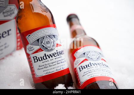 Marinette,WI,USA -DEC1-2021: Un venditore all'aperto vende birra Budweiser refrigerata su un tavolo con molta neve. Bottiglie di birra Bud, un pallido all'americana Foto Stock