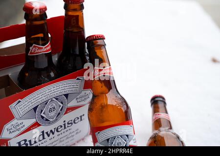 Marinette,WI,USA -DEC1-2021: Un venditore all'aperto vende birra Budweiser refrigerata su un tavolo con molta neve. Bottiglie di birra Bud, un pallido all'americana Foto Stock