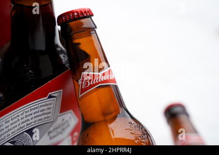 Marinette,WI,USA -DEC1-2021: Un venditore all'aperto vende birra Budweiser refrigerata su un tavolo con molta neve. Bottiglie di birra Bud, un pallido all'americana Foto Stock