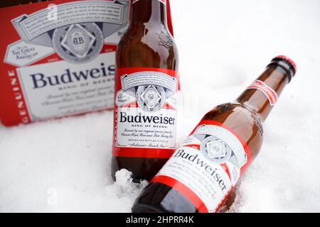 Marinette,WI,USA -DEC1-2021: Un venditore all'aperto vende birra Budweiser refrigerata su un tavolo con molta neve. Bottiglie di birra Bud, un pallido all'americana Foto Stock