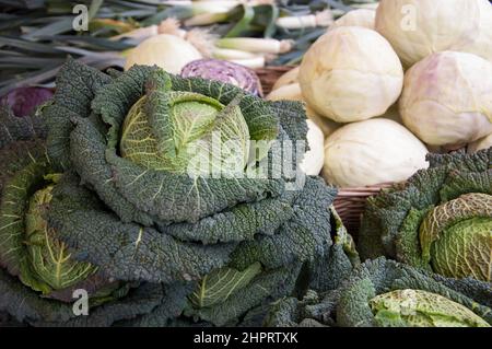 Cavolo verde. Cavoli viola e bianchi e cipolle verdi sullo sfondo. Foto Stock