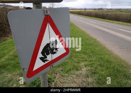 Avvertenza Frogs segno vicino Staunton, Gloucestershire immagine di Antony Thompson - Mille Word Media, NESSUNA VENDITA, NESSUNA SYNDICATION. Contattare per ulteriori informazioni Foto Stock