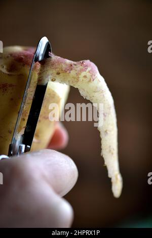 Peeling delle patate foto Janerik Henriksson / TT code 10010 Foto Stock