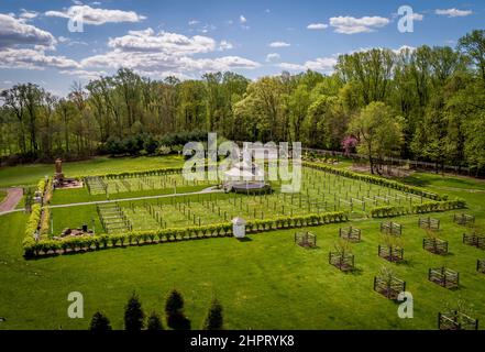 Vista aerea di un nuovo frutteto sul terreno di Plush con un'area salotto in una splendida giornata estiva Foto Stock