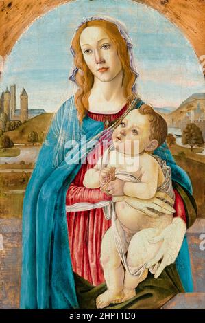 Vergine e Bambino, tempera su quadro di Sandro Botticelli, circa 1485 Foto Stock