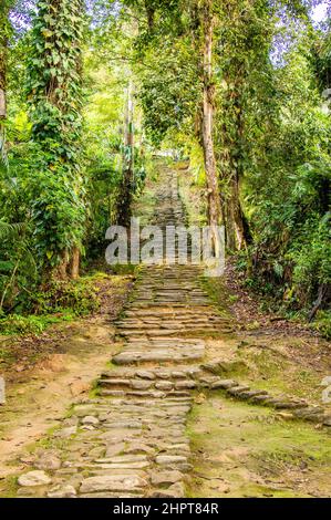 I gradini che conducono al sito della Città perduta/Ciudad Perdida in Colombia Foto Stock