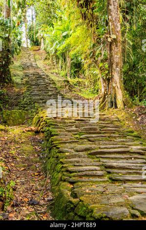I gradini che conducono al sito della Città perduta/Ciudad Perdida in Colombia Foto Stock