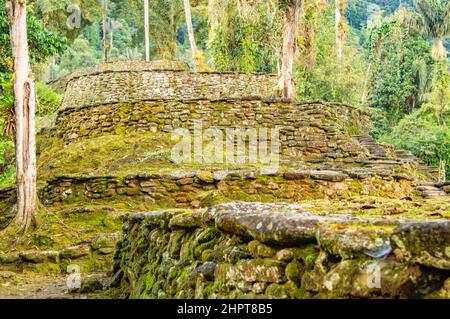 Vista sulle terrazze della Città perduta/Ciudad Perdida in Colombia Foto Stock