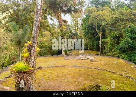 Vista sulle terrazze della Città perduta/Ciudad Perdida in Colombia Foto Stock