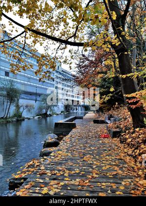 Schanzengraben in un giorno di pioggia autunnale (Zurigo, Svizzera). Foglie autunnali su una passerella accanto al fiume. Scena autunnale urbana Foto Stock